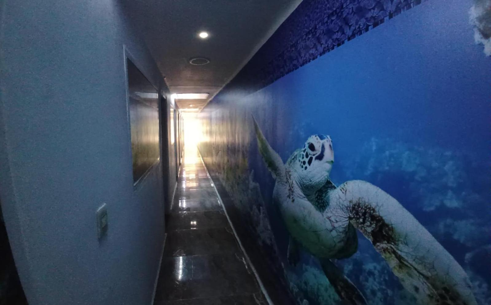 Hotel Dmauro Cartagena Exteriér fotografie